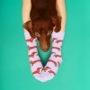 coucou suzette dachshund cotton socks 2