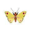 studioroof wall decoration luzerne butterfly
