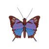 studioroof wall decoration chrysalus butterfly