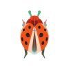 studioroof wall decoration coccinelle rouge beetle