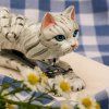 GREY CAT kancelářská sešívačka