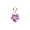 nach bijoux ch140 violet charm
