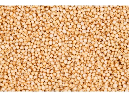 000005386 shutterstock 2174868975