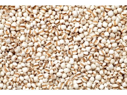 000005338 shutterstock 1130736959