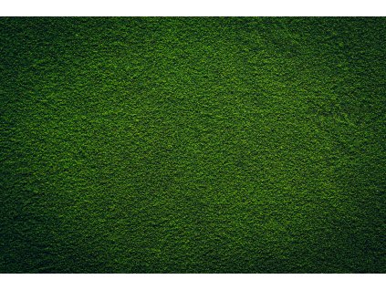 Chlorella prášek sprejové sušeni BIO 5kg