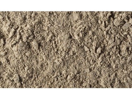 000005481 shutterstock 1869356095