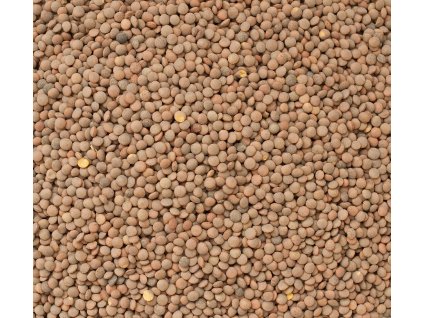 Čočka hnědá BIO 5kg