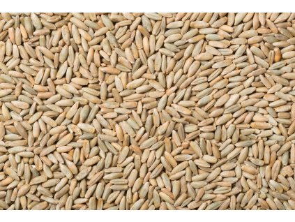 Žito BIO 5kg