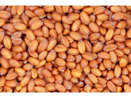 000005133 shutterstock 1894947835