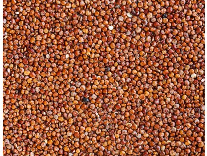 000004917 shutterstock 186884273