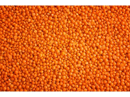 Čočka červená BIO, Turecko 5kg