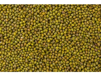 Mungo fazole Bio 5kg