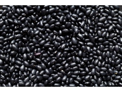 Fazole černá BIO 3 kg LES FRUITS DU PARADIS