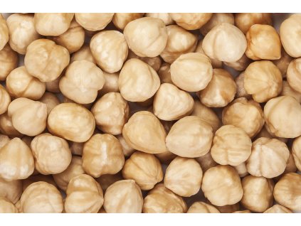 000002221 8282 shutterstock 474115639