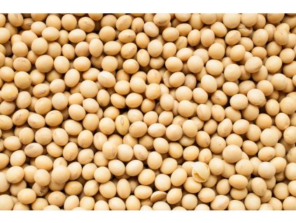 Sojové boby Bio 5kg