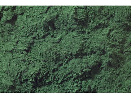 Spirulina prášek Bio