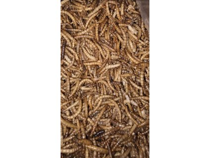 Mouční červi , sáček 1 kg