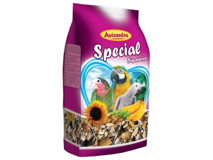 special velky papousek lub1k9cy0x 700 700