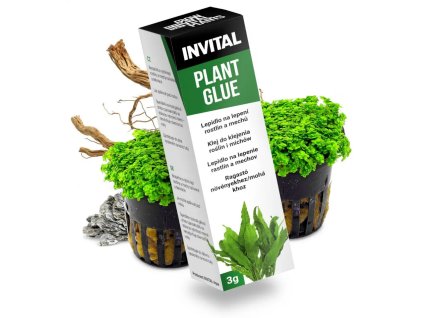 59261 1308583001 v1769333884