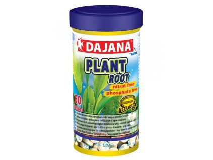 model plant root