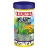 model plant root