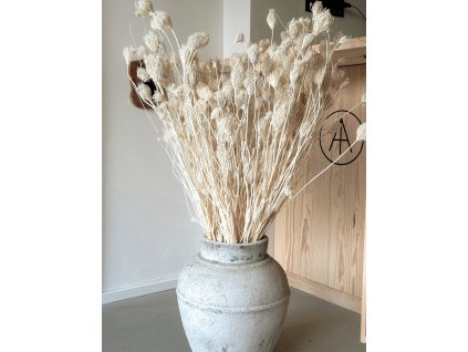 Ve velké váze je 10 svazků fenyklu