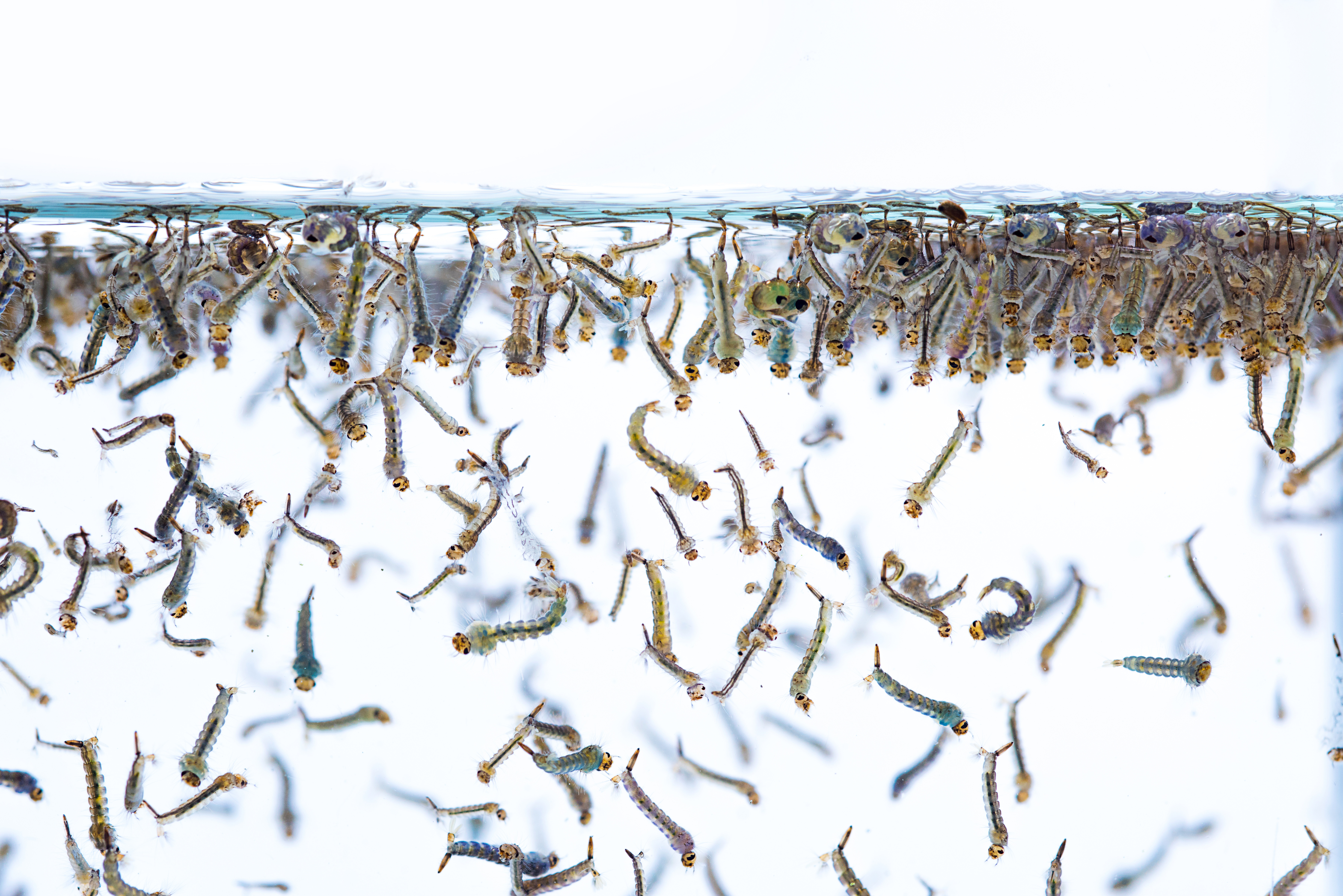 AdobeStock_185371937