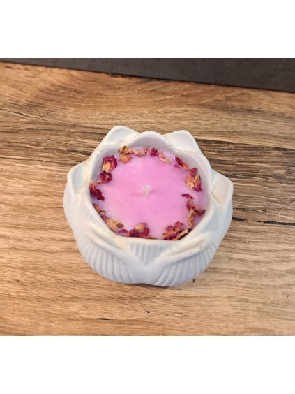 Růže