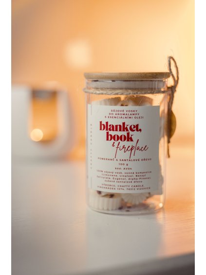 Blanket, Book & Fireplace