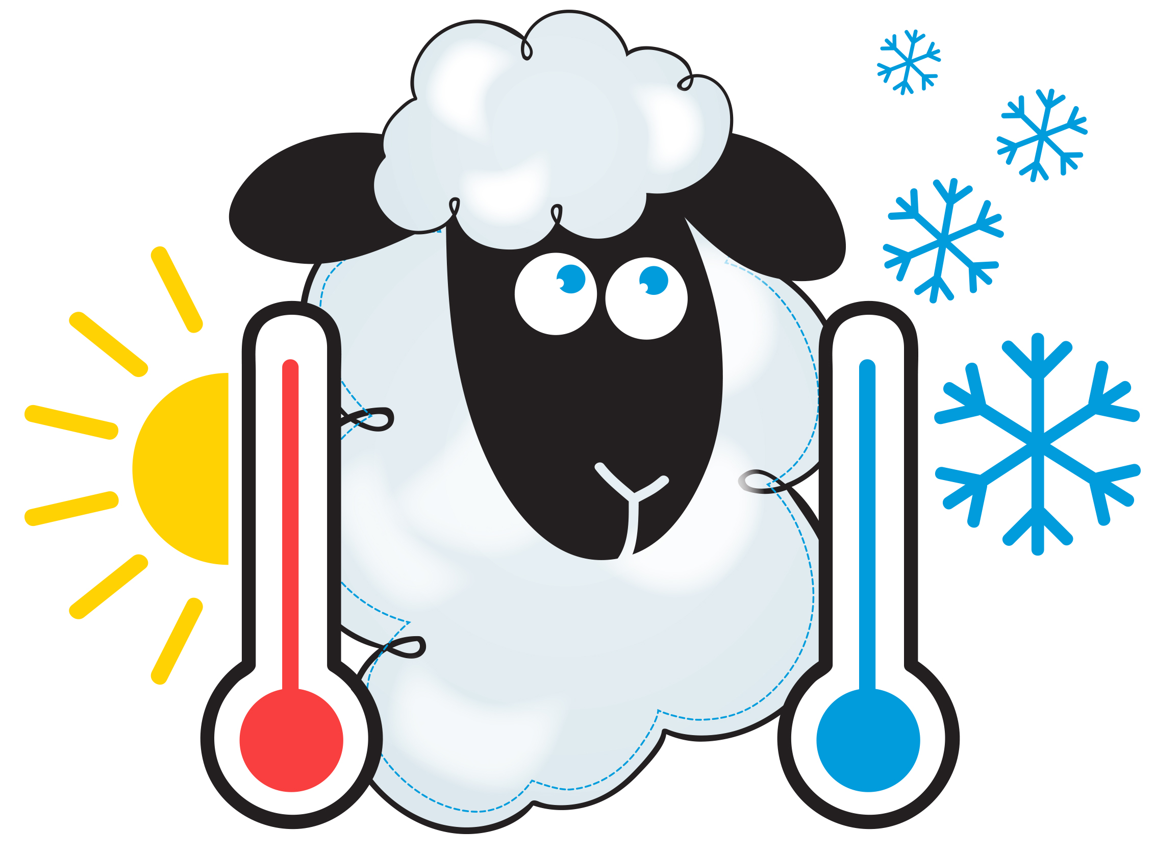 Péče a údržba merino vlny s HEDVÁBÍM A LYOCELLEM