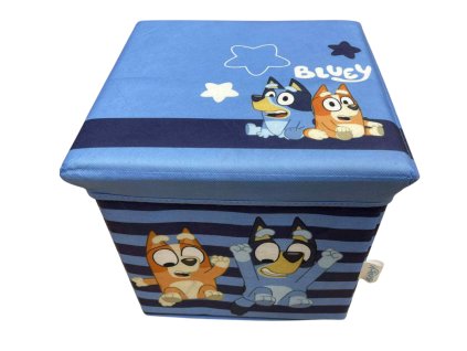 Bluey sedací a úložný box