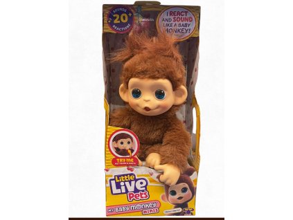 Brown and White Simple Product Catalog