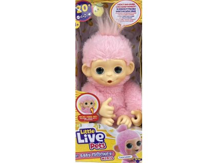 610944240 25949679711322635 5592696057937893080 n