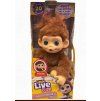 Little Live Pets – My Baby Monkey Minis Chikki Cherry