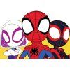 0009204 moje omalovanky spidey