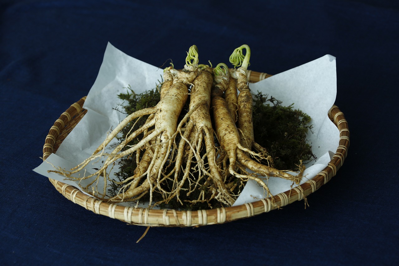 Ženšen pravý (Panax ginseng)
