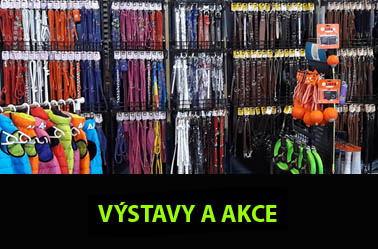 Výstavy a akce