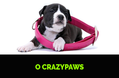 O crazypaws
