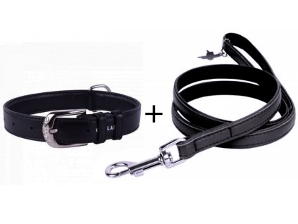 Plochý obojek a vodítko - černý set.