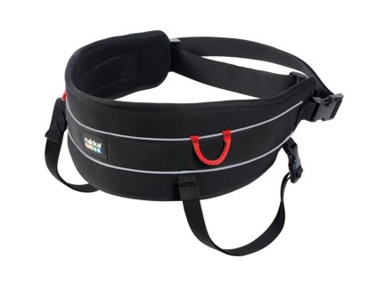 pas na behani se psem