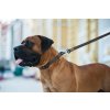 Nejsilnější obojek pro psa EVOLUTOR černý