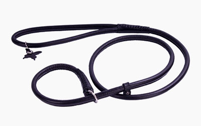 Ako na prvú výstavu? Výber  a návyk na výstavné  vodítko