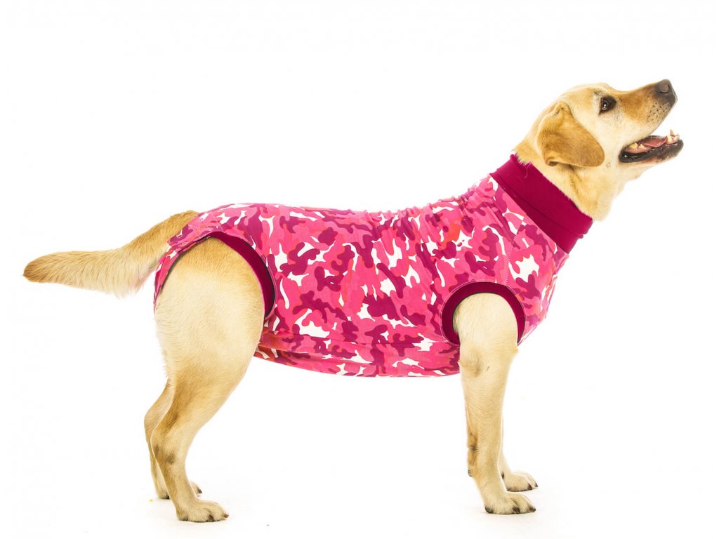 Pooperačné ochranné oblečenie pre fenku ružovej farby z príjemného  elastického materiálu