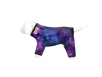 NASA PRSIPLAST