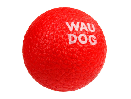 Lopta pre psov RED BALL