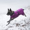 rukka coldzone functional dog cloths