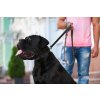 Najsilnejší obojok pre psa EVOLUTOR čierny