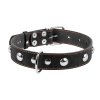 Kožený obojok s kovovou dekoráciou čierny väčší