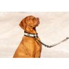 Amortizér na vodítko pre psa Rukka