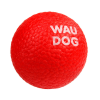 Lopta pre psov RED BALL